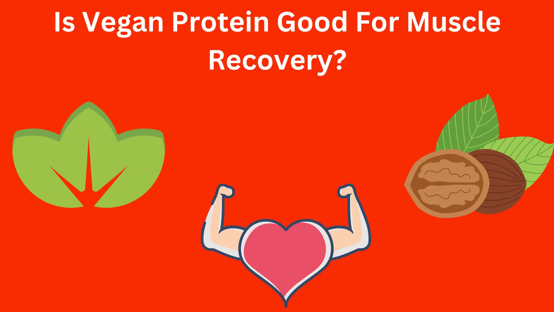 Is Vegan Protein Good For Muscle Recovery